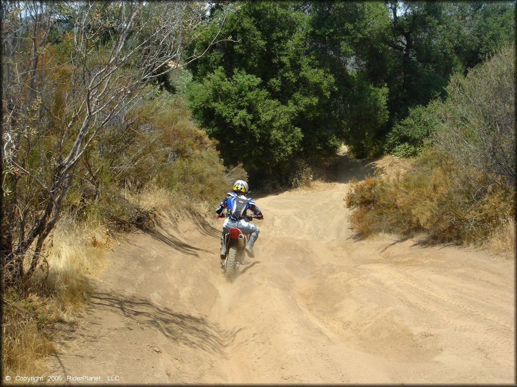 Honda CRF150 dirt bike going through some deep ruts on the trail.