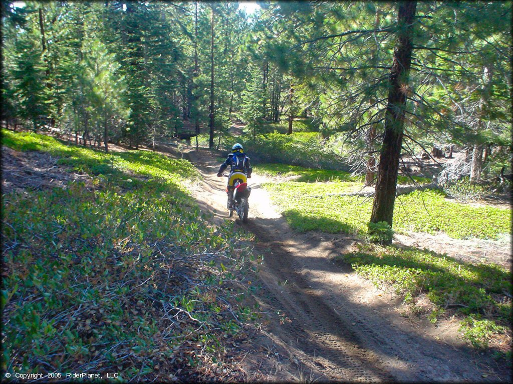 Honda CRF Motorcycle at Genoa Peak Trail