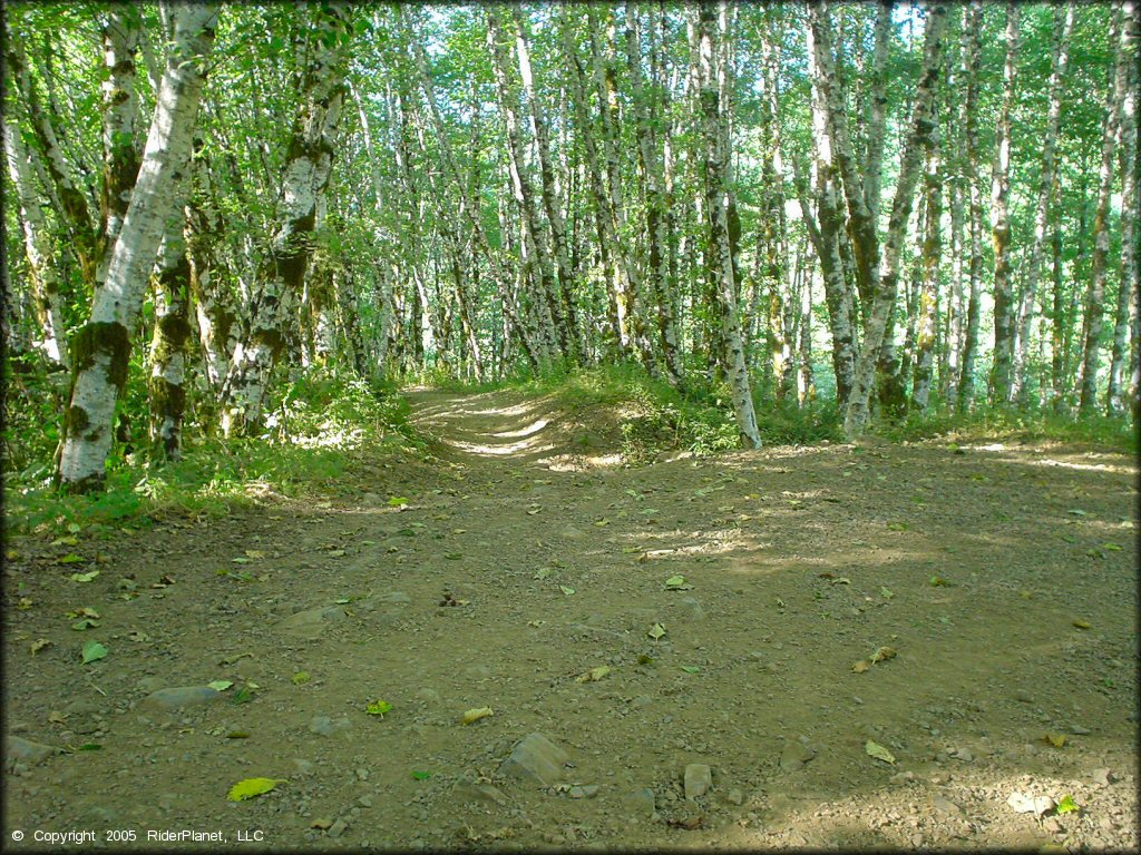 Terrain example at Diamond Mill OHV Area Trail