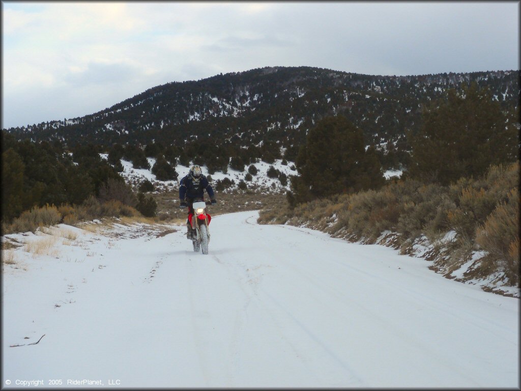 Honda CRF Dirt Bike at Old Sheep Ranch Trail