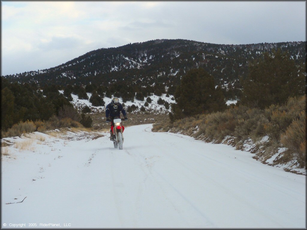 Honda CRF Motorcycle at Old Sheep Ranch Trail