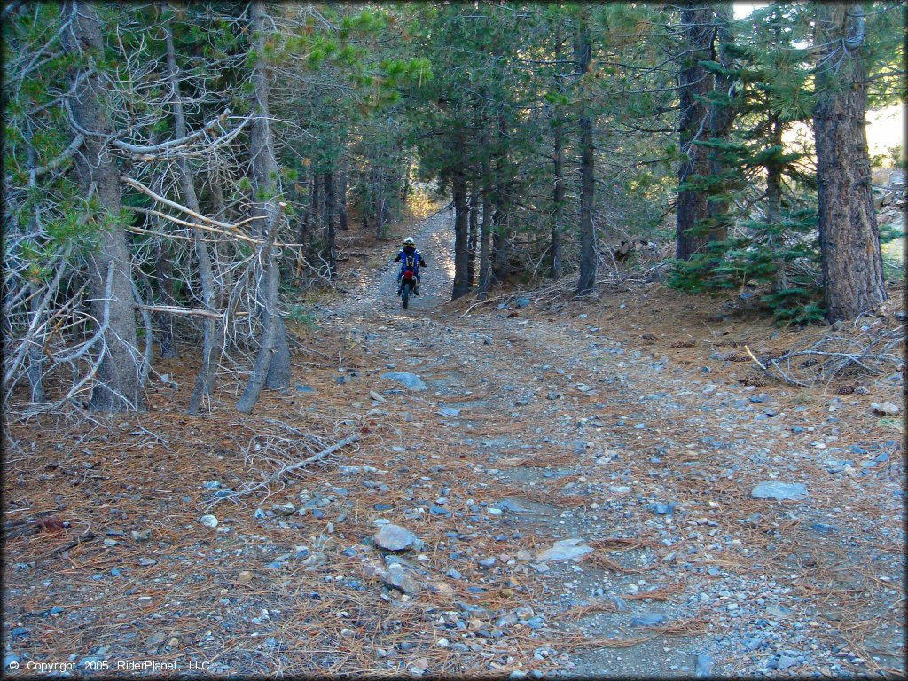 Honda CRF Dirt Bike at Jackson Meadows Trail