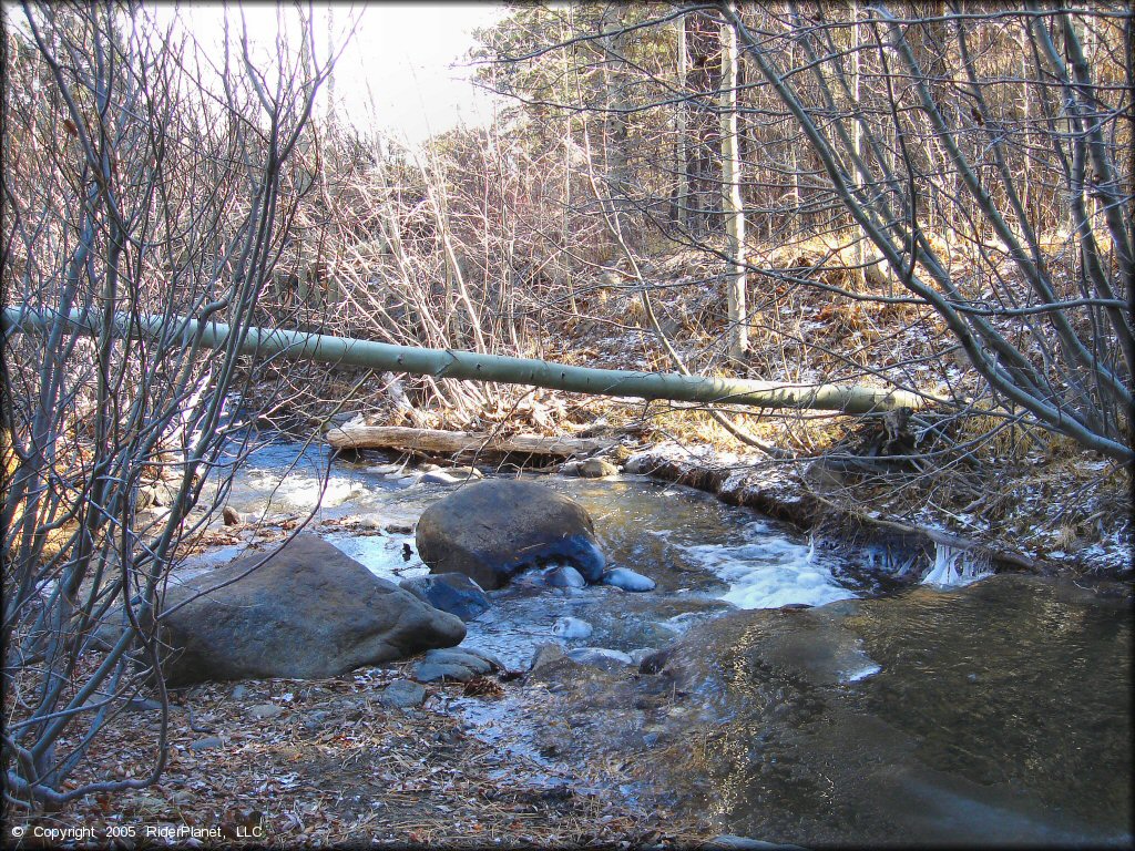 Scenery at Timberline Road Trail