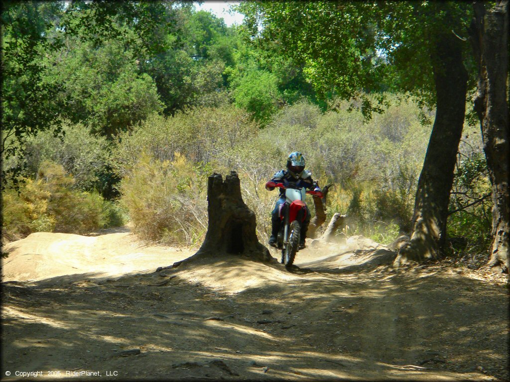 Young woman on CRF150F dirt bike going through section of wooded ATV trail.