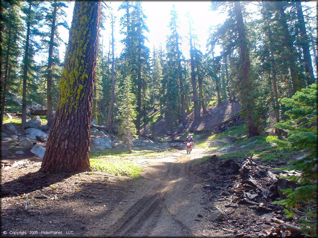 Honda CRF Motorcycle at Genoa Peak Trail