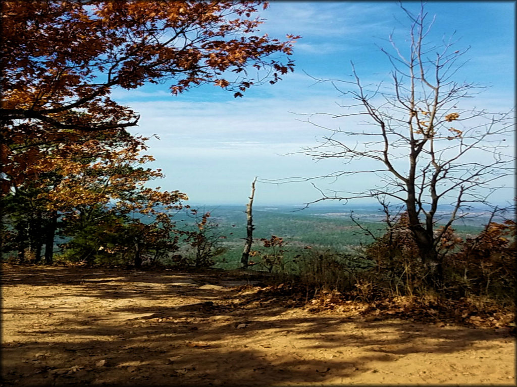 Huckleberry Mountain Horse Trail