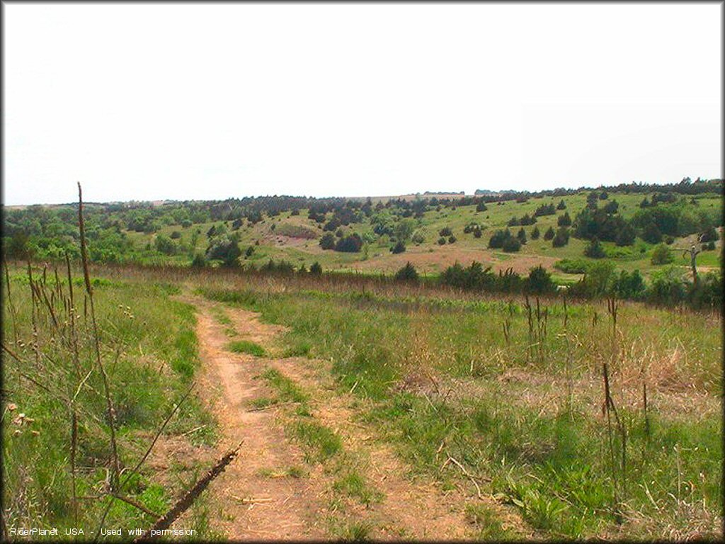 Terrain example at Cedar Run ATV Trail