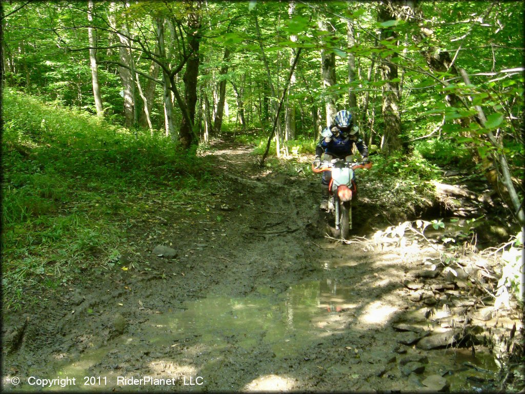 Honda CRF Motorcycle crossing the water at Tall Pines ATV Park Trail