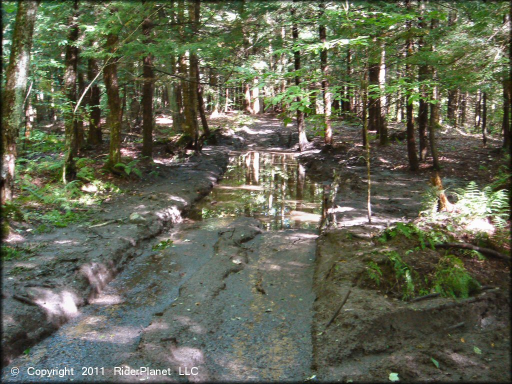 A trail at Camden ATV Trail