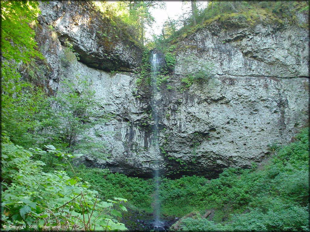 Upper Nestucca Motorcycle Trail System