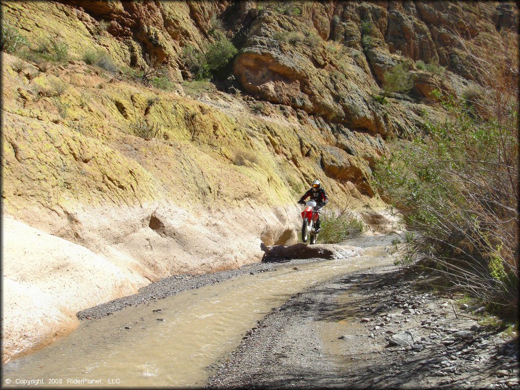 Man popping a wheelie off a small rock on a Honda dirt bike.