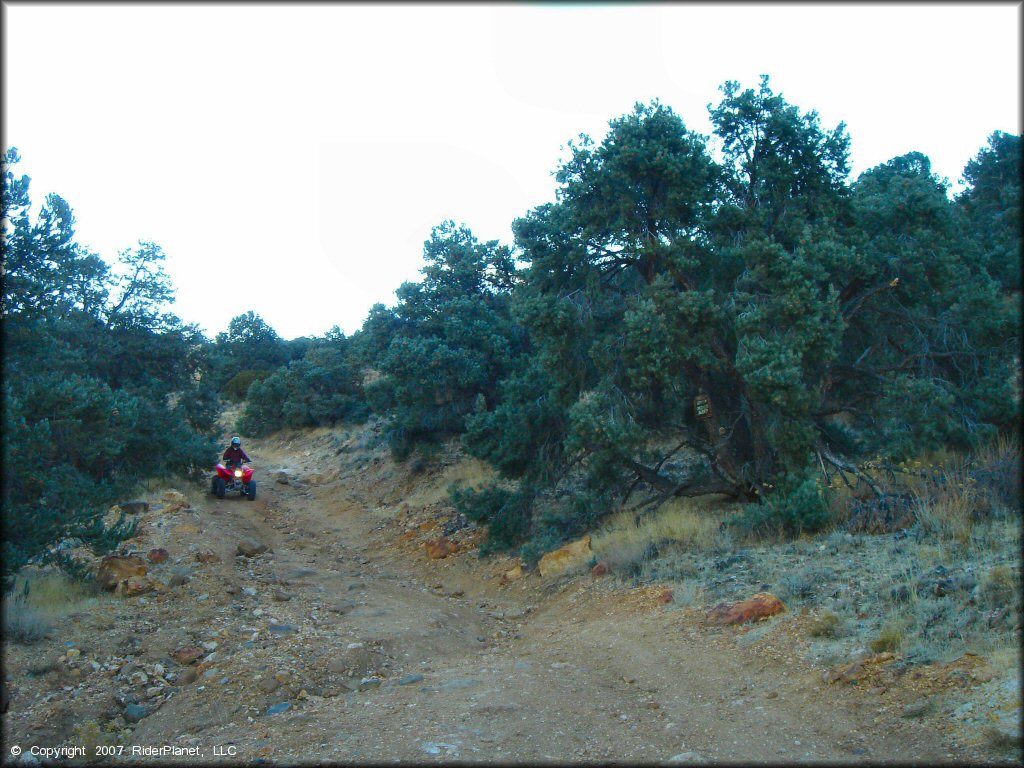 Honda Quad at Sevenmile Canyon Trail