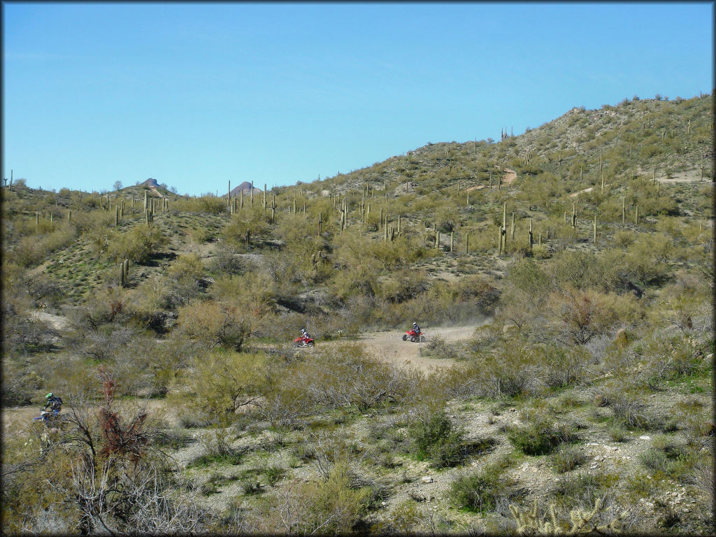 A scenic photo with two ATVs and one dirt bike riding through the Sonoran Desert.