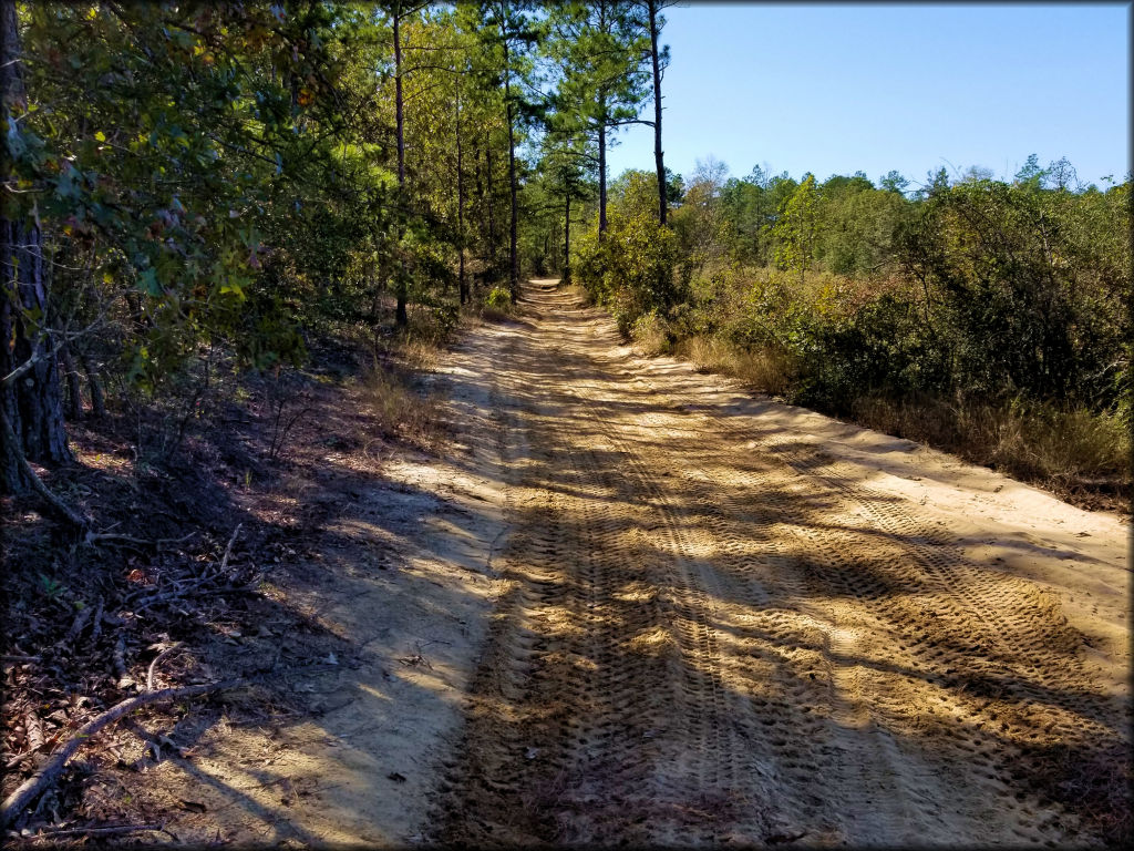 Broken Nut Off Road Park Trail