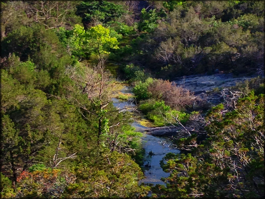 One of the several water crossings on the property.