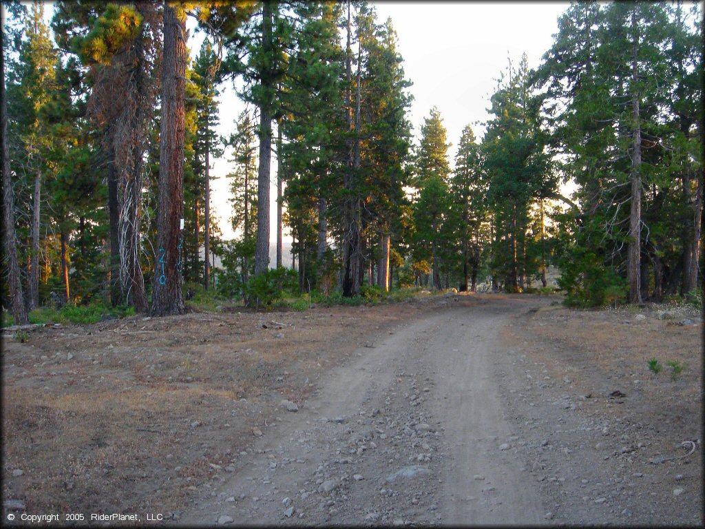 A trail at Black Springs OHV Network Trail