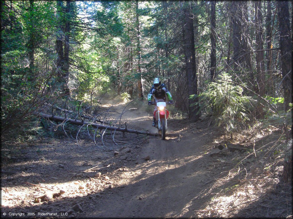 Honda CRF Dirtbike at Interface Recreation Trails