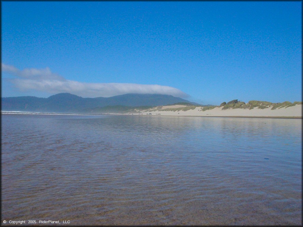 Sand Lake Dune Area