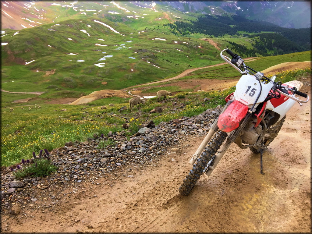 A muddy honda dirt bike parked next to a green field.