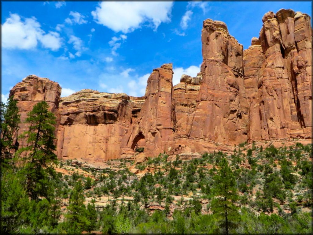 Arch Canyon and Combs Wash Trail