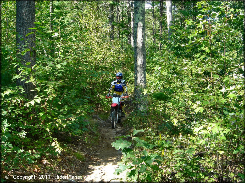 OHV at Hodges Village Dam Trail