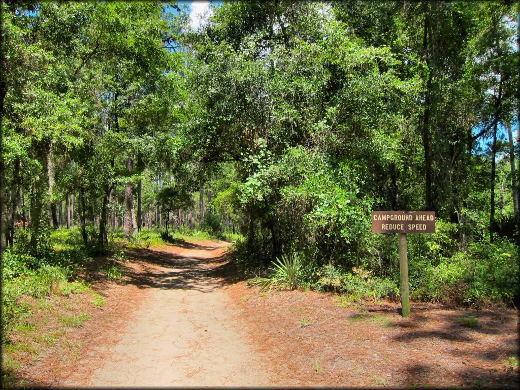 ATV trail with campground signage.