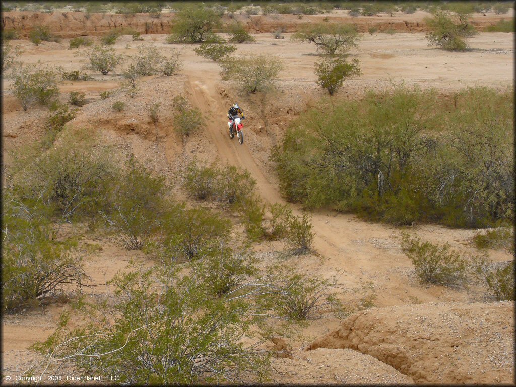 Honda CRF Dirt Bike at Pinal Airpark Trail