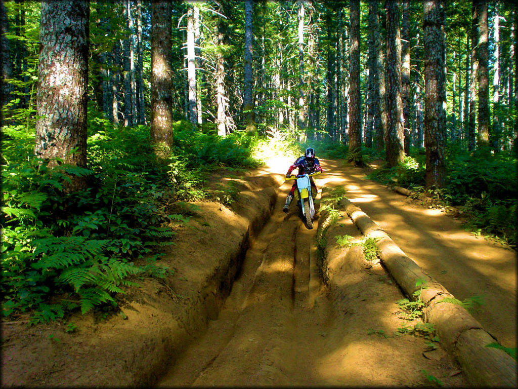 Yellow RM250 going through some deep ruts.