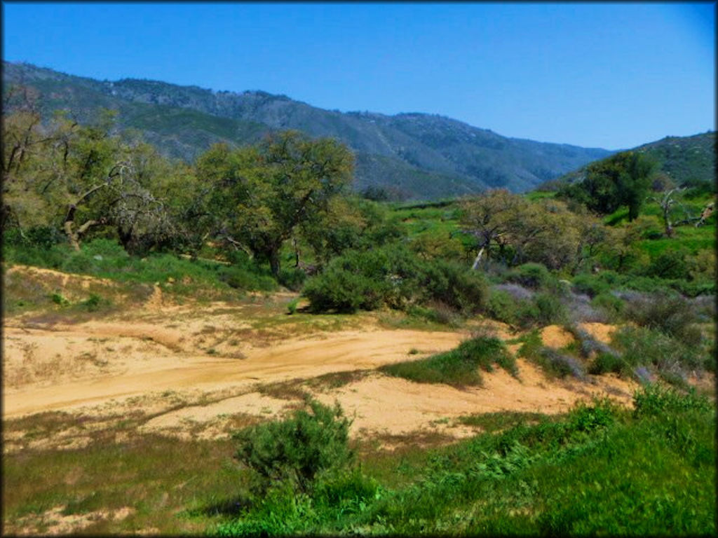 Amago Sports Park Track