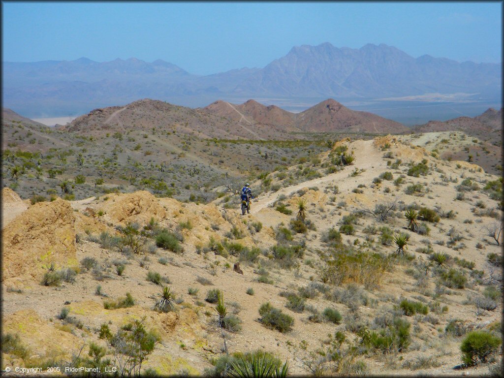 Nelson Hills Trail