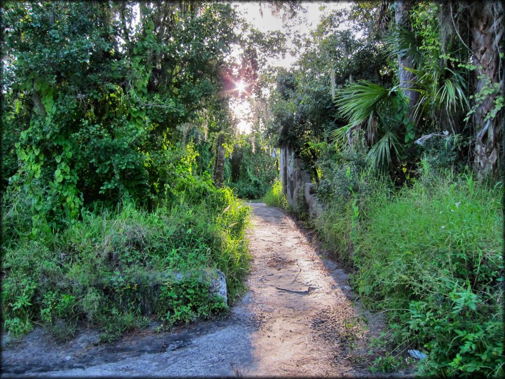 Peace River Campground Trail