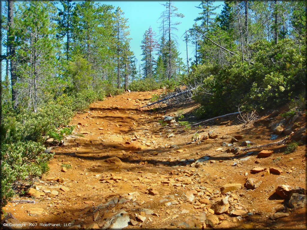 A trail at Rattlesnake Ridge Area Trail