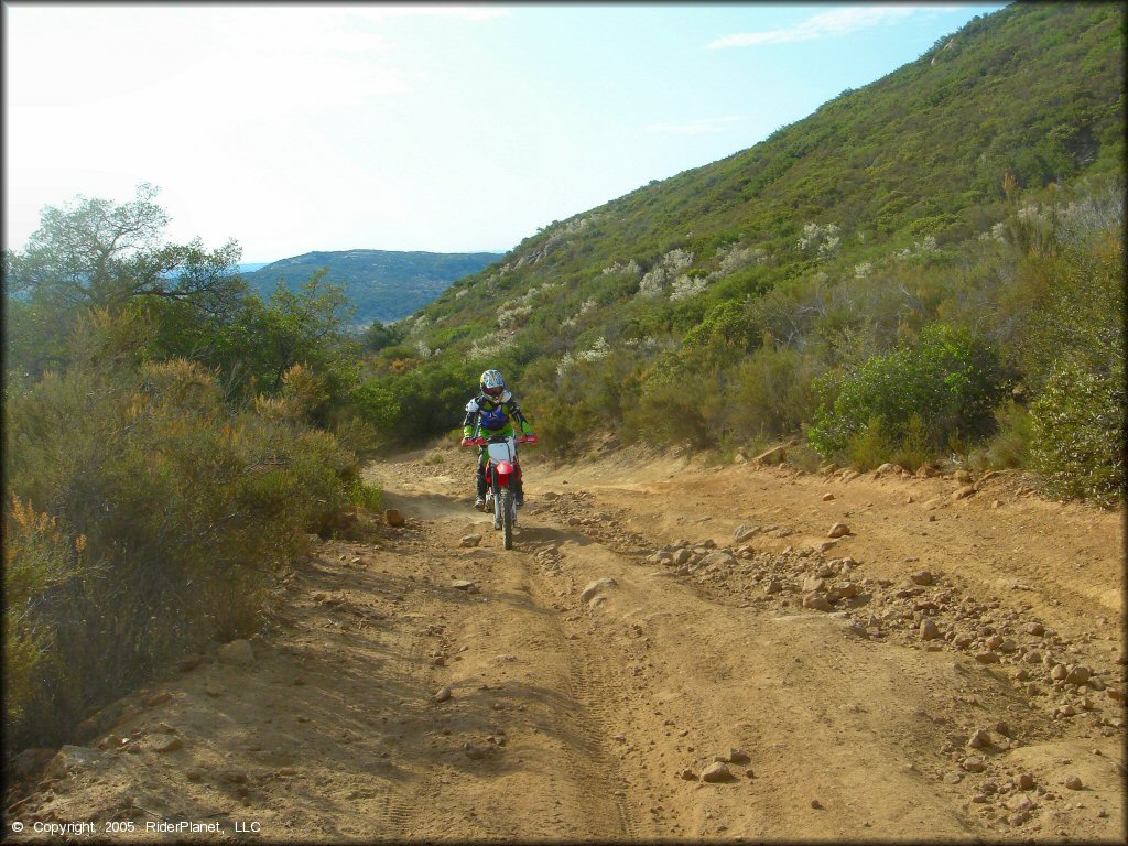 Woman on Honda dirt bike riding on rugged 4x4 road.