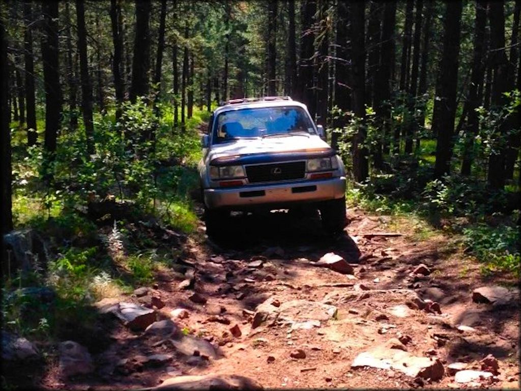Lexus LX450 4WD navigating rocky 4x4 trail in the woods.