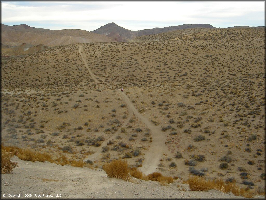Scenery at Wilson Canyon Trail