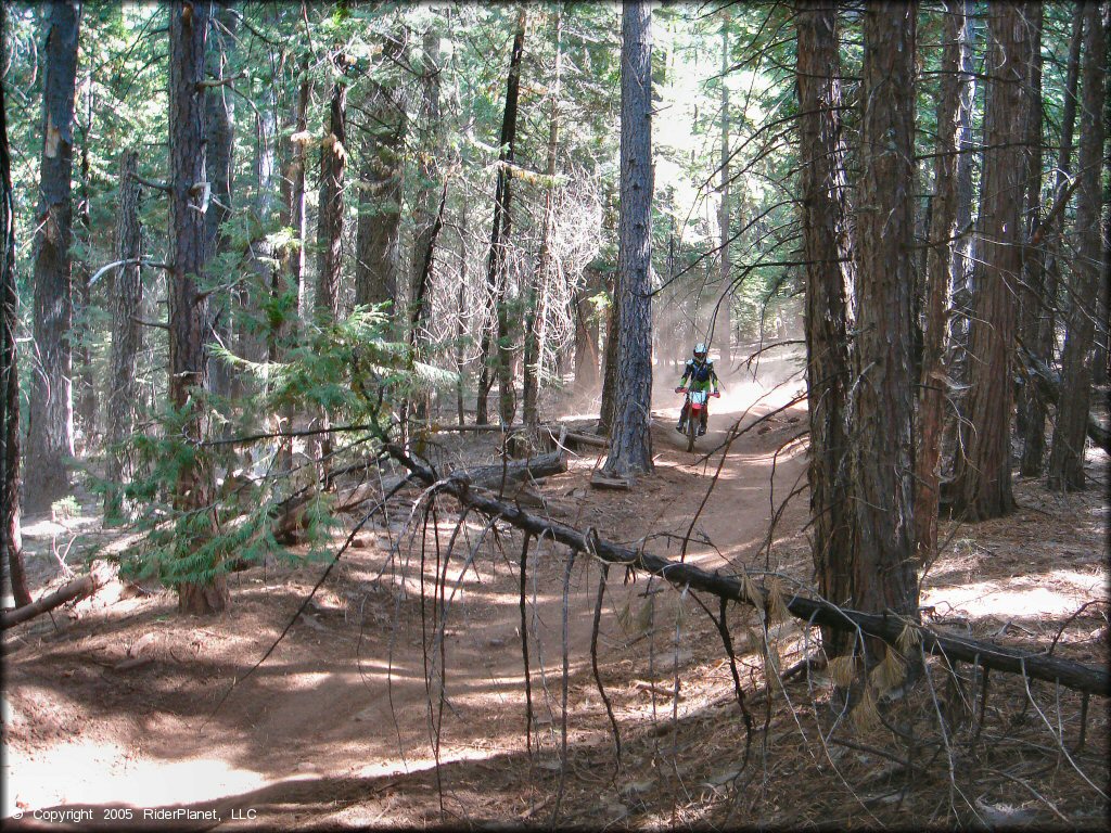 Honda CRF Dirt Bike at Elkins Flat OHV Routes Trail