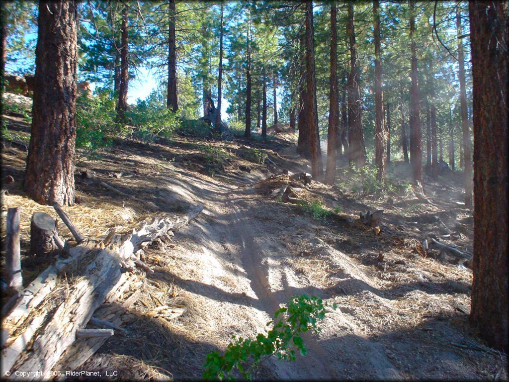 Example of terrain at Mammoth Lakes Trail