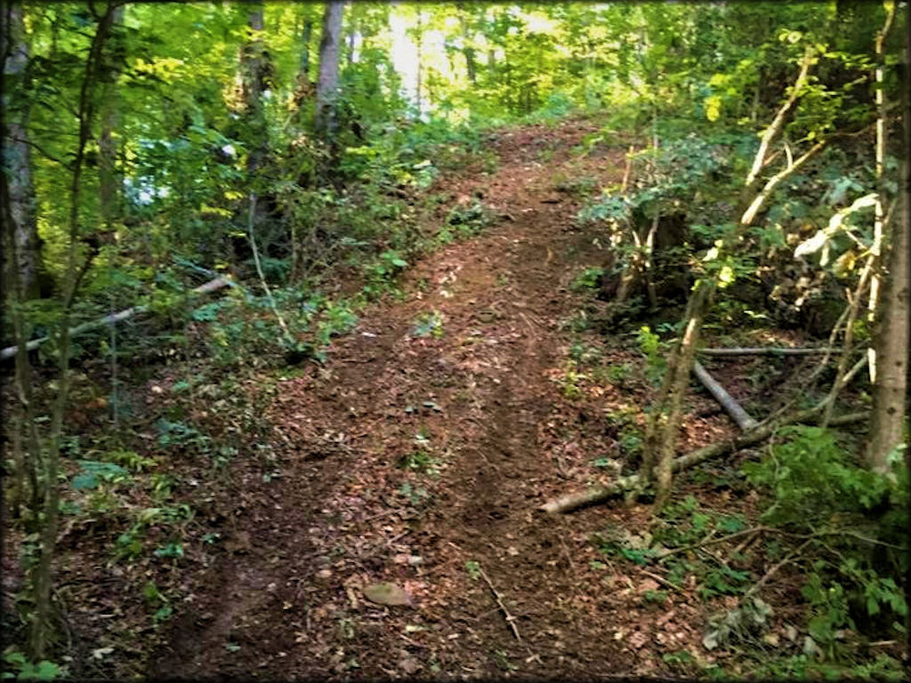 Lake Moco, LLC Riding Club Trail