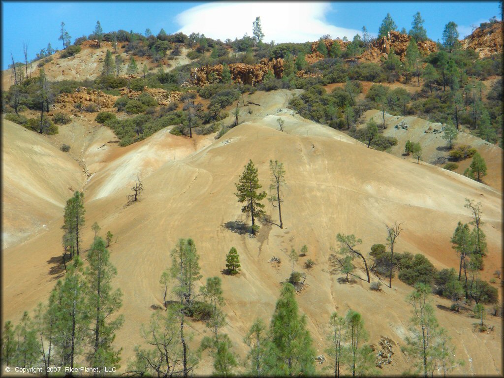 Scenic view at Clear Creek Management Area Trail