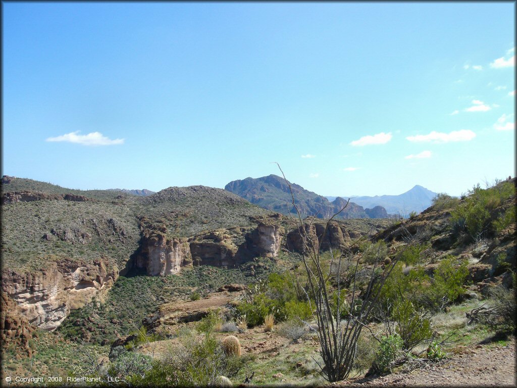 A scenic view of rugged canyons with desert vegetation.
