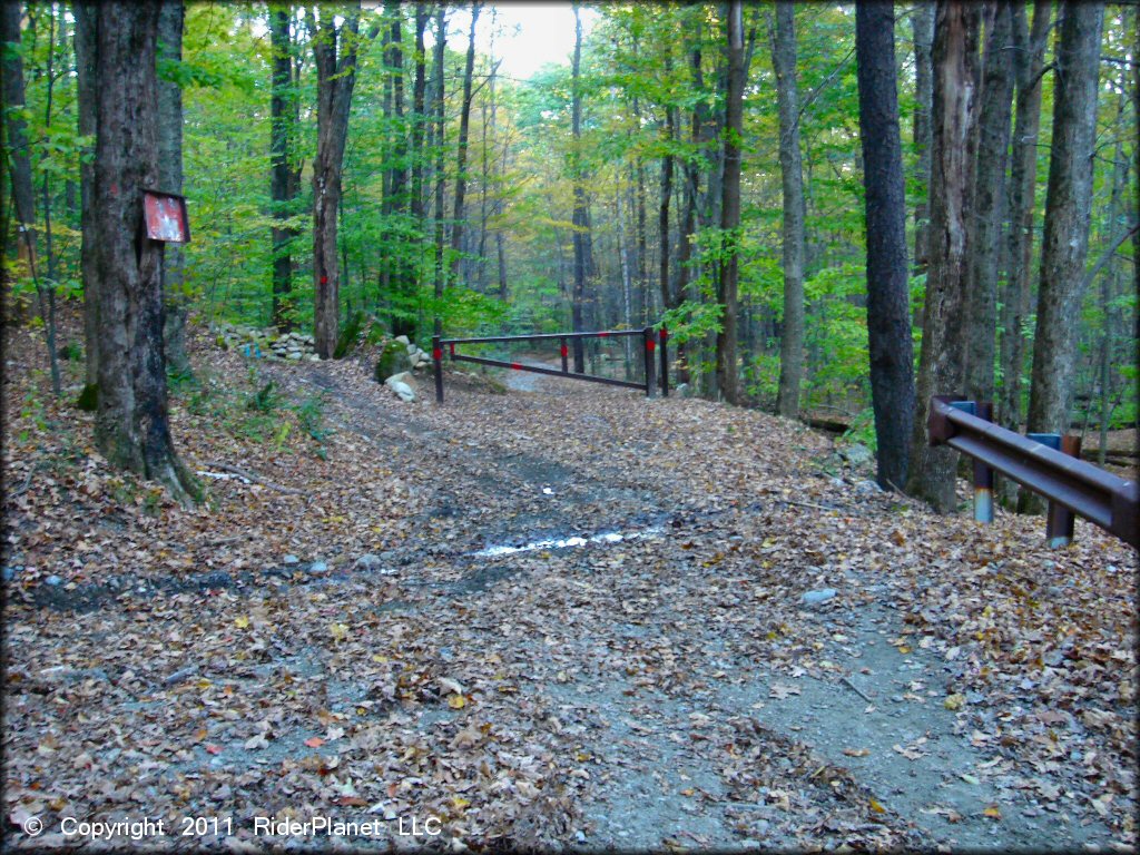 Example of terrain at Pittsfield State Forest Trail