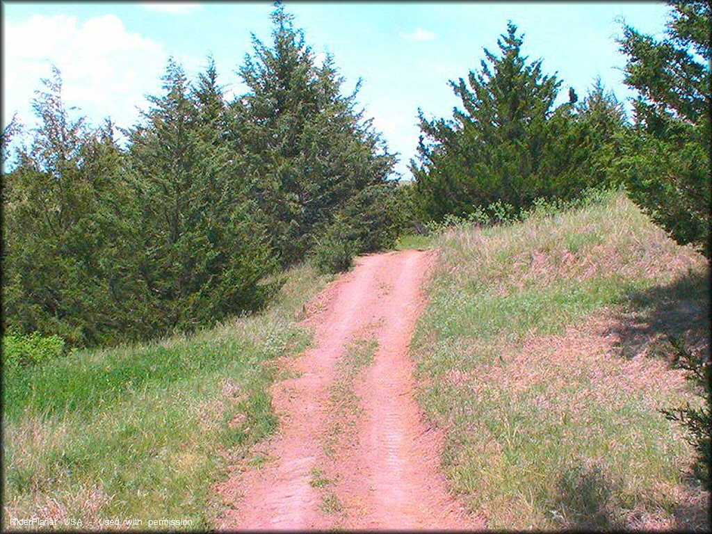 Terrain example at Cedar Run ATV Trail