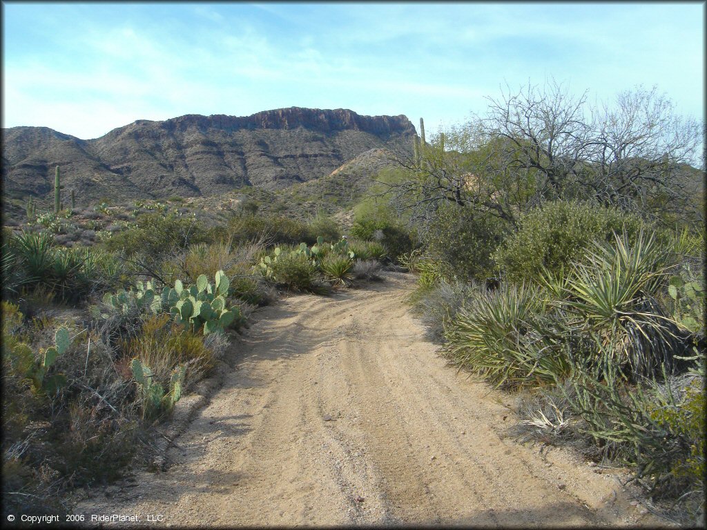 OHV at Log Corral Canyon Trail