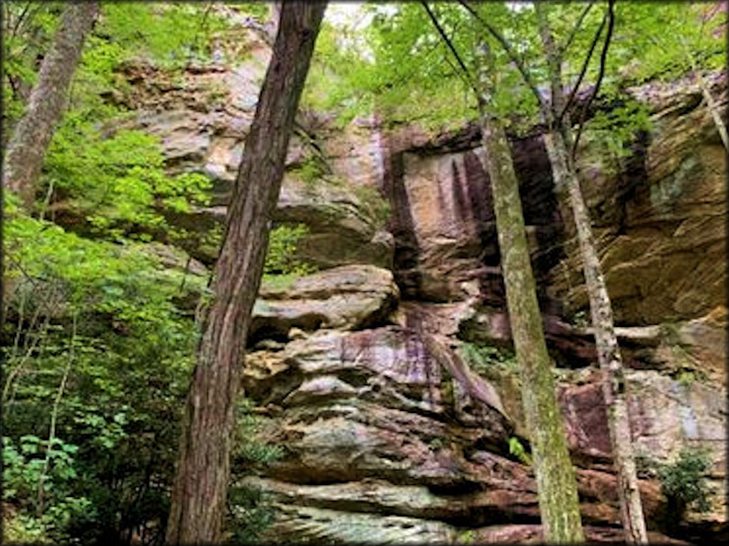 Tackett Creek Trails