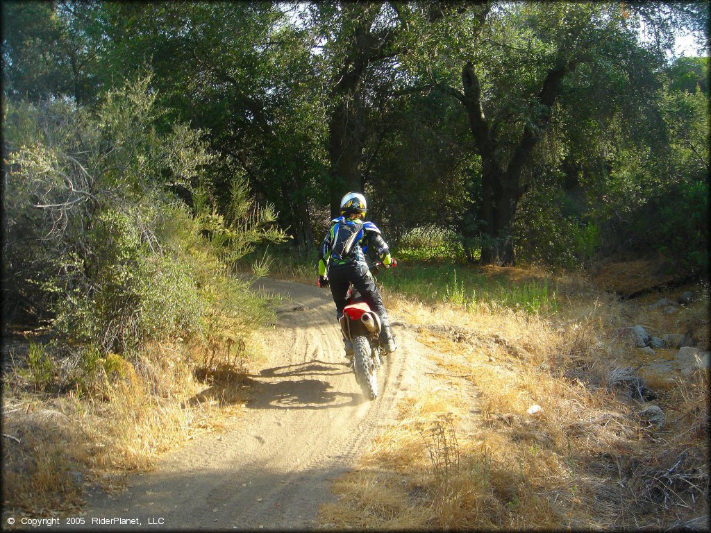 Woman on Honda CRF150F riding through sandy ATV trail.