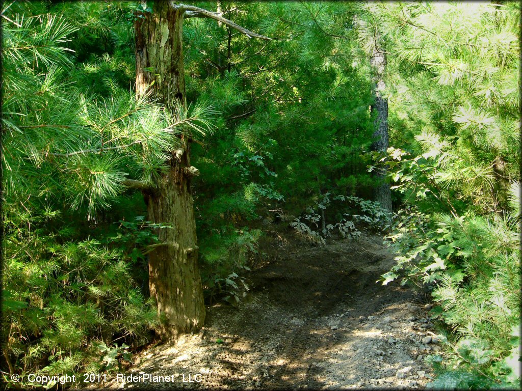 Some terrain at Freetown-Fall River State Forest Trail