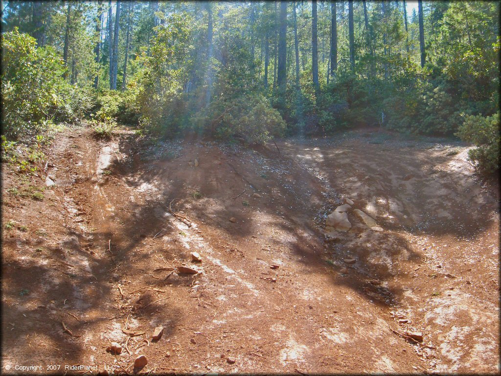 Rattlesnake Ridge Area Trail