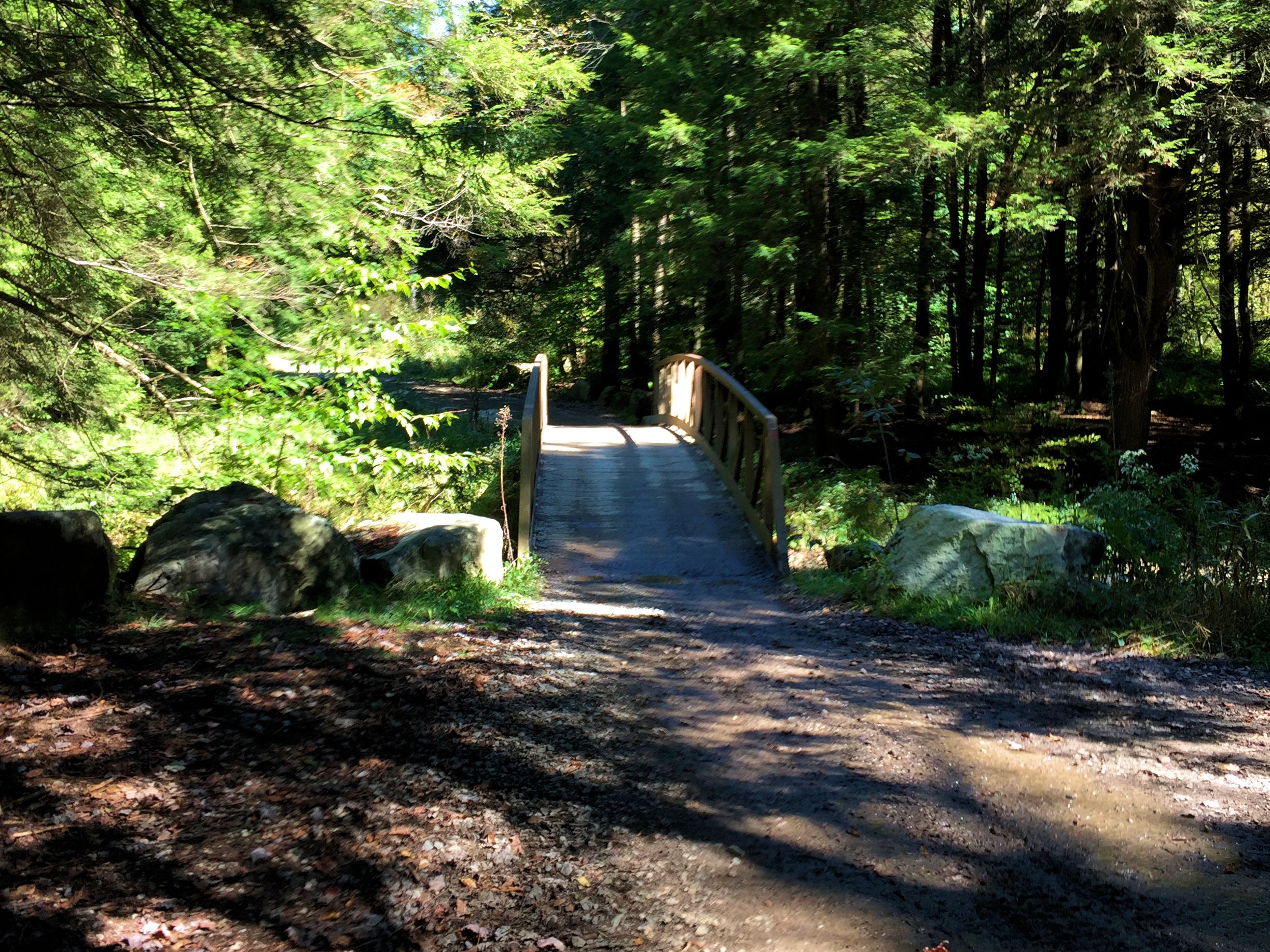 Marienville & Timberline OHV Trails