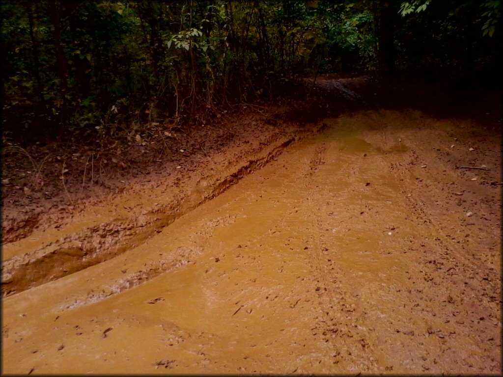 Example of terrain at Houston Valley ORV Area Trail