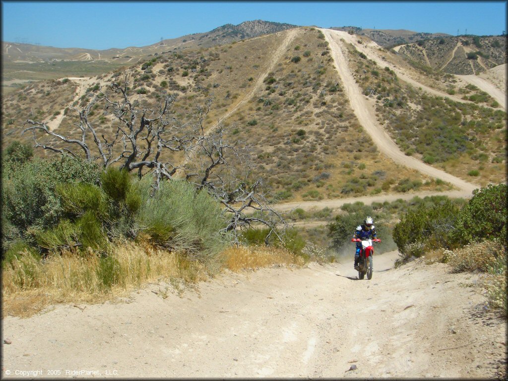 Honda CRF Motorbike at Hungry Valley SVRA OHV Area